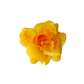 Růže látková - žlutá
