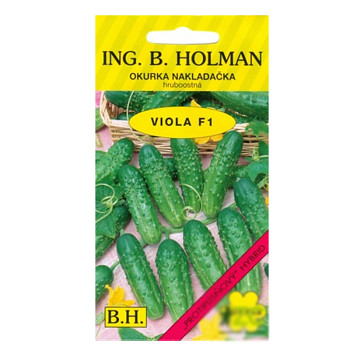 Okurka nakl. Holman - Viola F1 hr 2 g