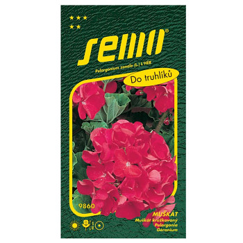 SEMO Pelargonie páskatá - červená 11s