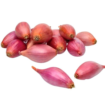 SAZEČKA RŮŽOVÁ ´ROSANNA´ 250g