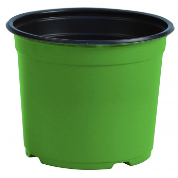 Kontejner Desch 14 cm - zelený