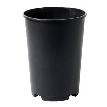 Kontejner růže - 1 l