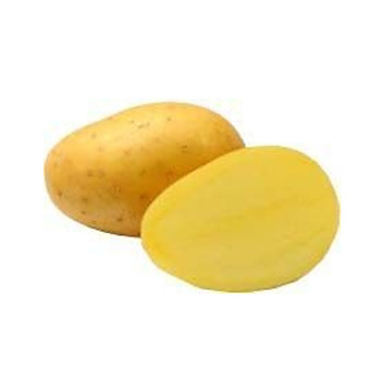 Sadba brambor Antonia 5 kg, PR, A - polorané