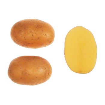Sadba brambor Dominika 5 kg, PR
