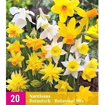NARCIS ´BOTANICAL MIX´ kont. 0,5L
