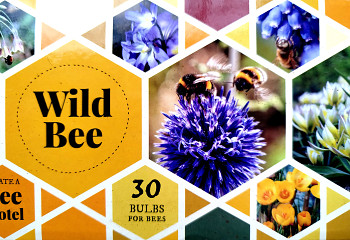 MIX KVĚTŮ PRO ČMELÁKY ´WILD BEE´ 30 cibulí, kont. 2L