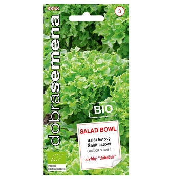 DOBRÁ SEMENA salát ´SALAD BOWL´