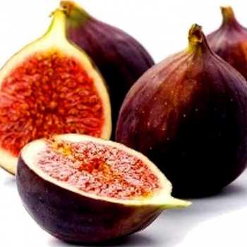 FÍKOVNÍK SMOKVOŇ ´PERETTA´®  kont. 1,3L 