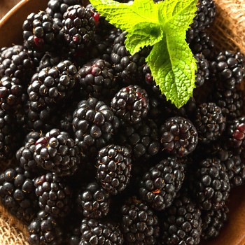 OSTRUŽINÍK ´GLORNIWA´ - BEZTRNNÝ kont. P9