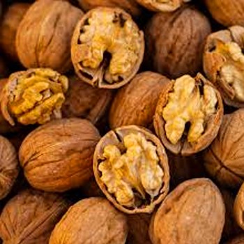 OŘEŠÁK KRÁLOVSKÝ ´TULARE´