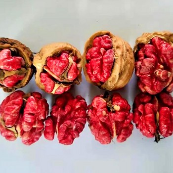 OŘEŠÁK KRÁLOVSKÝ ´RUBIN´