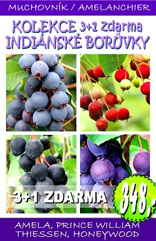 KOLEKCE MUCHOVNÍKŮ 3+1 zdarma (Amela, Prince William, Thiessen, Honeywood) (kopie)