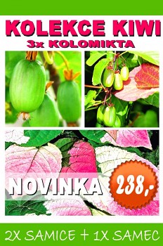 ! VÝHODNÁ CENA KOLEKCE KIWI !