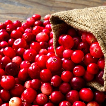 BRUSINKA ´MISS CHERRY®´ XXL kont. 2L