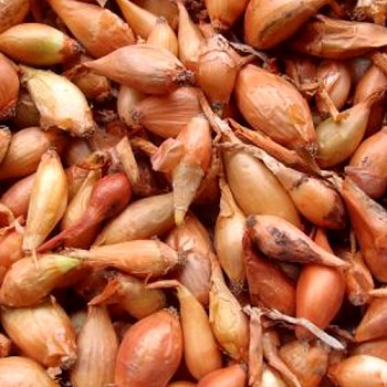 SAZEČKA ´VŠETANA´ 250g