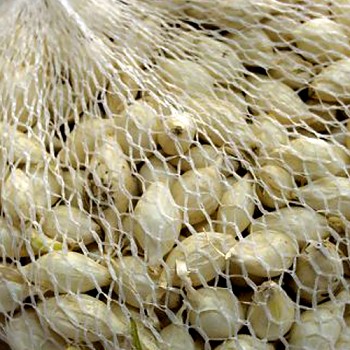 SAZEČKA BÍLÁ ´SNOWBALL´ 250g