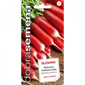 DOBRÁ SEMENA ŘEDKVIČKA SLOVANA 