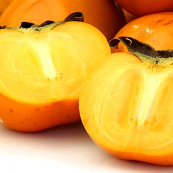 KAKI CHURMA ´JIRO´ v kont. 2L