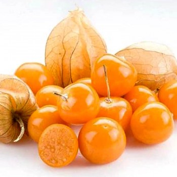 MOCHYNĚ PERUÁNSKÁ ´LITTLE BUDDHA´