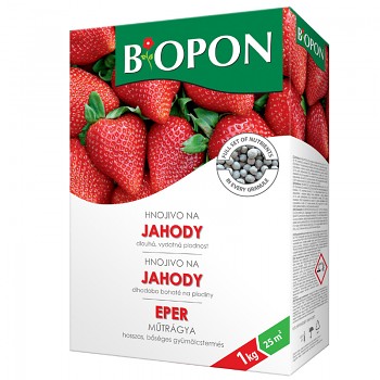 BOPON JAHODY 1KG