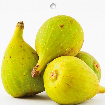 FÍKOVNÍK ´DOTTATO´