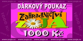 DÁRKOVÝ POUKAZ NA 1000 Kč - zasíláme v PDF