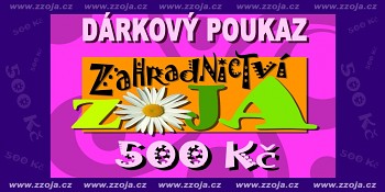 DÁRKOVÝ POUKAZ NA 500 Kč - zasíláme v PDF