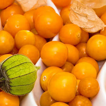 MOCHYNĚ PERUÁNSKÁ ´PETERS BESTE´