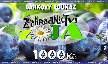 DÁRKOVÝ POUKAZ NA 1000Kč - motiv švestky - zasíláme v PDF