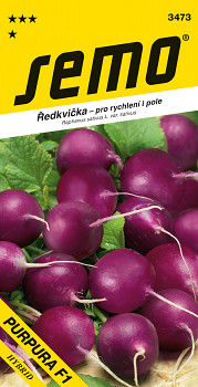 SEMO ŘEDKVIČKA FIALOVÁ PURPURA F1